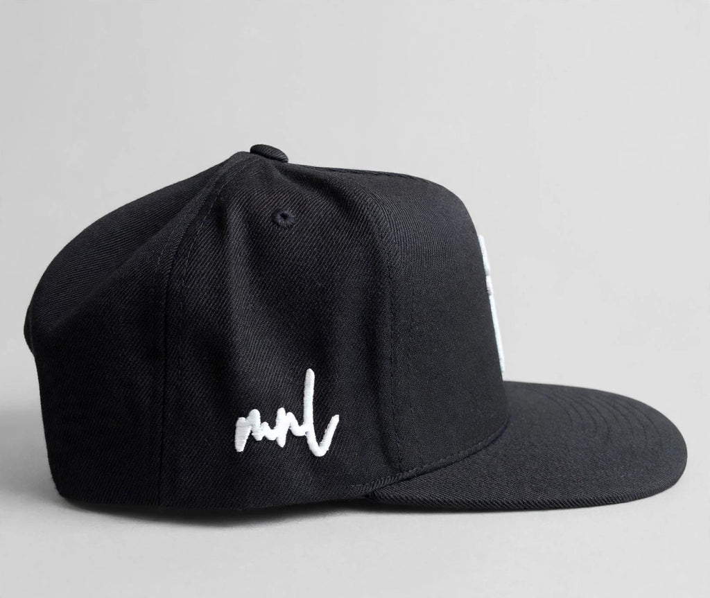 Peso Sign ( snap back )